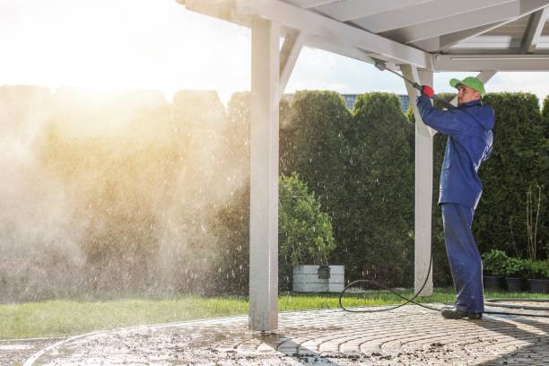 Pre-Holiday Cleaning in Lockport Heights, IL